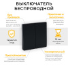 Выключатель ОП 2-м кнопочный беспроводной (черный) FERON TM82 SMART, 230V, 500W 41723