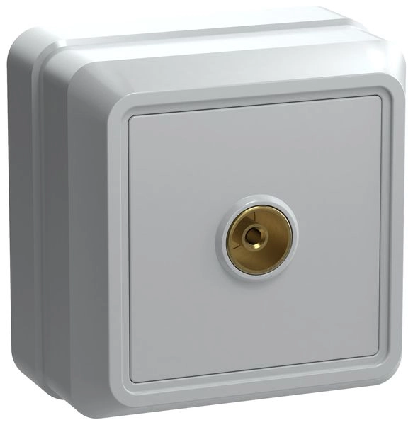 Розетка ОП 1-м TV (белый) Октава EAO10-K01-DC Розетка ОП 1-м TV (белый) Октава EAO10-K01-DC в каталоге ЮгКабель