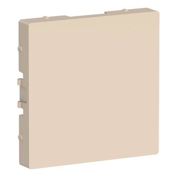 Заглушка без суппорта (бежевый) Atlas ATN000209 Заглушка без суппорта (бежевый) Atlas ATN000209 в каталоге ЮгКабель