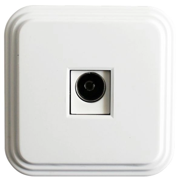 Розетка ОП 1-м TV (белый) ТР-01 Брест 39705 в каталоге ЮгКабель