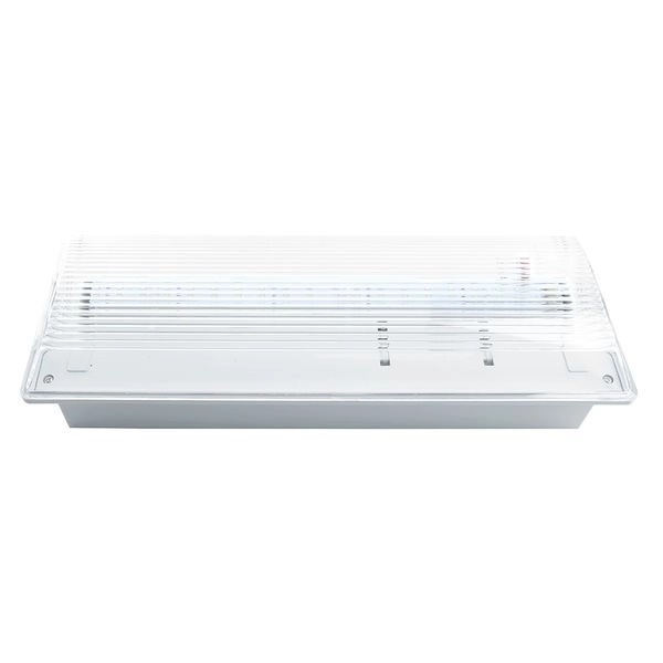 Светильник аварийный LED 3ч. 220В 200Лм IP54 (340х130х90) EM100 AC/DC с наклейкой 41535 Светильник аварийный LED 3ч. 220В 200Лм IP54 (340х130х90) EM100 AC/DC с наклейкой 41535 в каталоге ЮгКабель