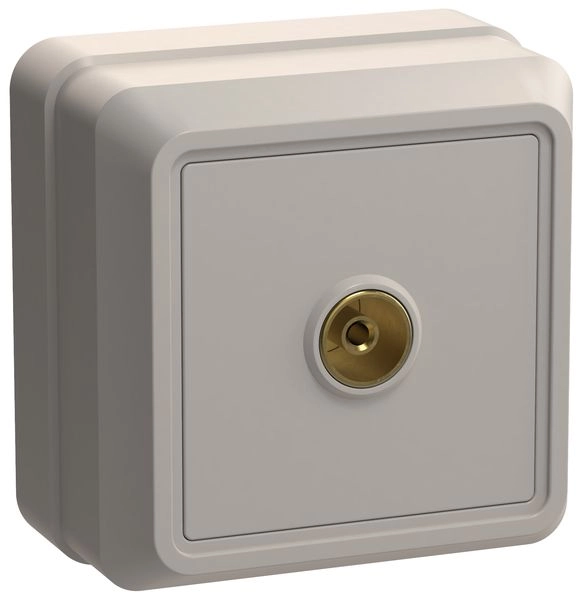 Розетка ОП 1-м TV (кремовый) Октава EAO10-K33-DC Розетка ОП 1-м TV (кремовый) Октава EAO10-K33-DC в каталоге ЮгКабель