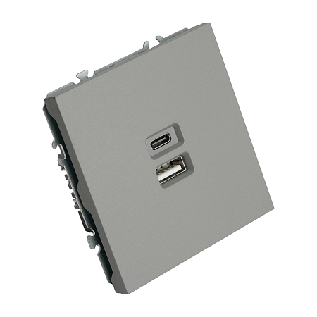 Розетка СП 2-м USB   Type C механизм (платиново-серый) soft touch Эмили RST10-5115-10 49957