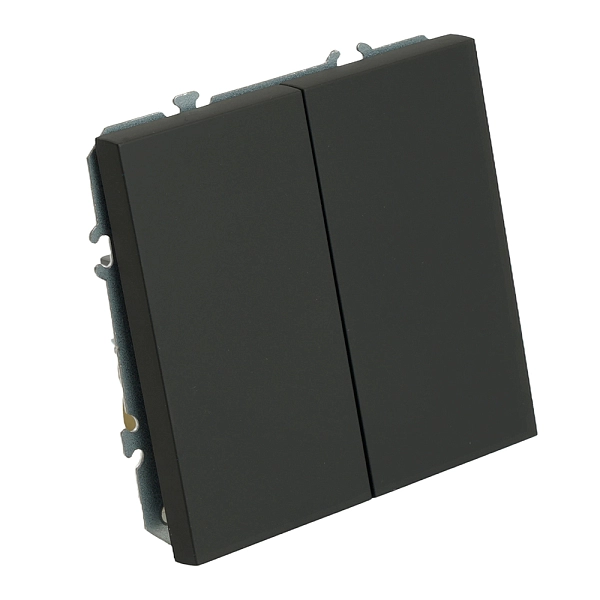 Переключатель СП 2-м механизм (черный уголь) soft touch Эмили RSW10-5107-05 49843 в каталоге ЮгКабель